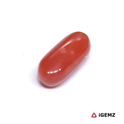 2.48 ct Red Coral - iGemz23722 gemstone for sale at igemz.co.za