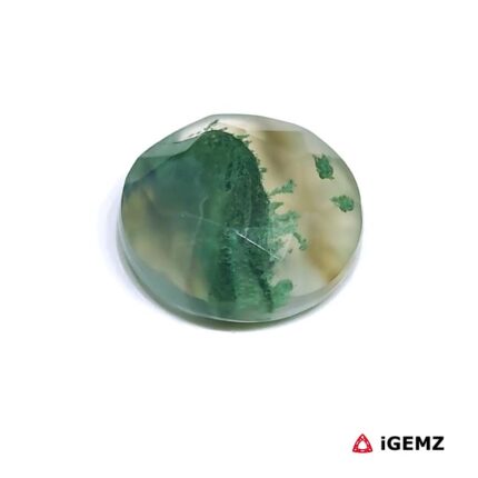 6.17 ct Green Moss Agate - iGemz24178 gemstone for sale at igemz.co.za