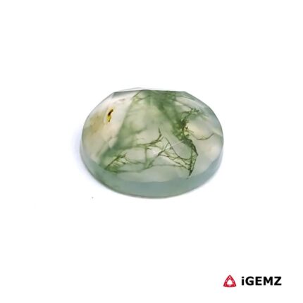4.25 ct Green Moss Agate - iGemz24182 gemstone for sale at igemz.co.za