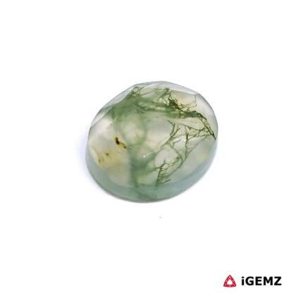 4.25 ct Green Moss Agate - iGemz24182 gemstone for sale at igemz.co.za