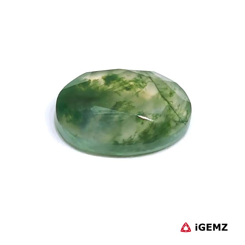 iGemz24186.1 5.25 ct Green Moss Agate - iGemz24186 gemstone for sale at igemz.co.za