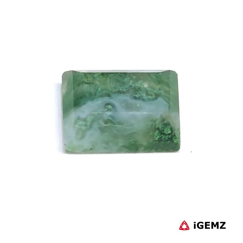 iGemz24208.1 5.2 ct Green Moss Agate - iGemz24208 gemstone for sale at igemz.co.za