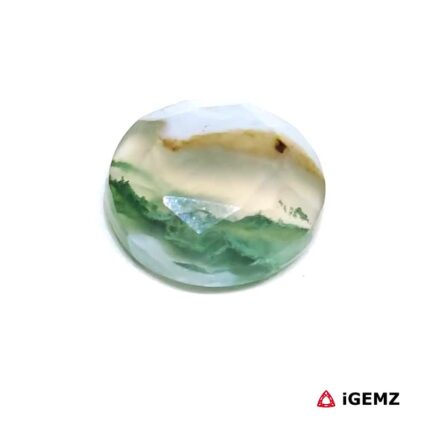 6.29 ct Green Moss Agate - iGemz24218 gemstone for sale at igemz.co.za
