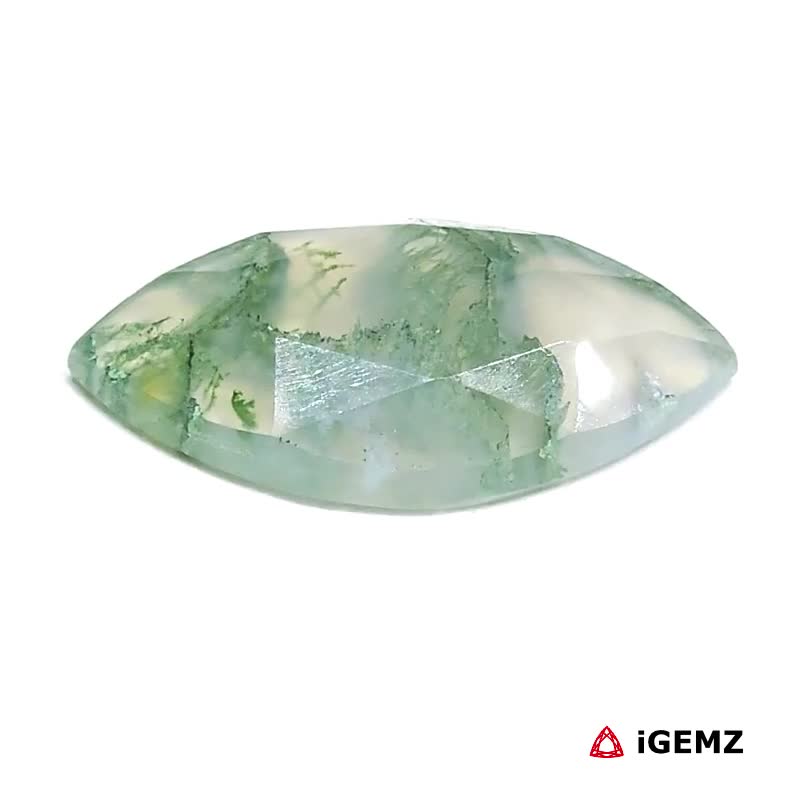 iGemz24224.1 7.44 ct Green Moss Agate - iGemz24224 gemstone for sale at igemz.co.za