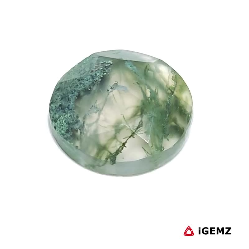 iGemz24259.1 7 ct Green Moss Agate - iGemz24259 gemstone for sale at igemz.co.za