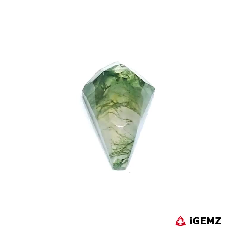 iGemz24309.1 2.22 ct Green Moss Agate - iGemz24309 gemstone for sale at igemz.co.za