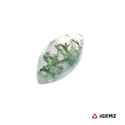 3.18 ct Green Moss Agate - iGemz24311 gemstone for sale at igemz.co.za