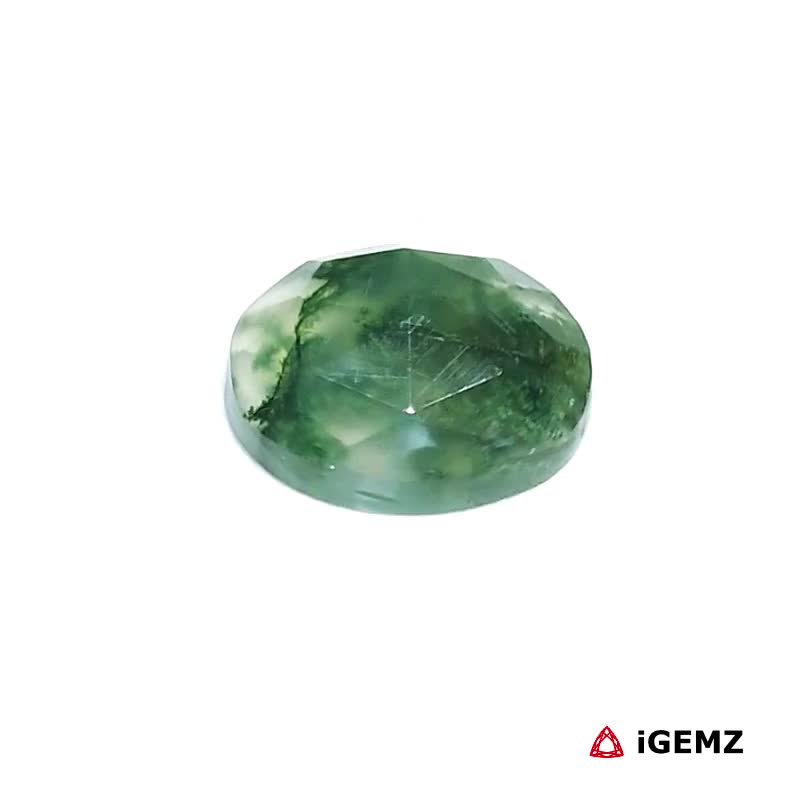 iGemz24330.1 3.16 ct Green Moss Agate - iGemz24330 gemstone for sale at igemz.co.za