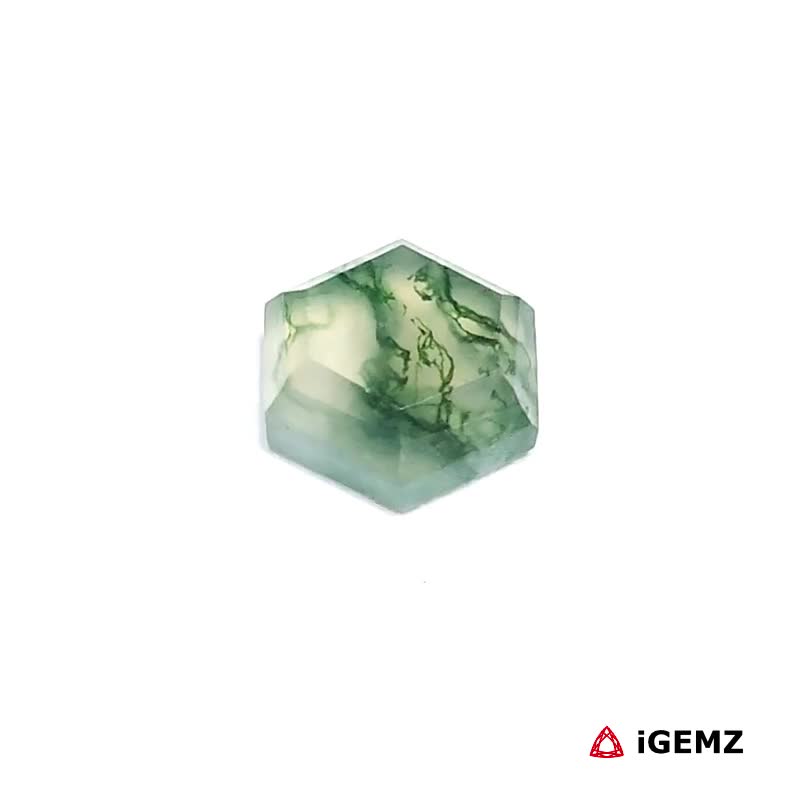 iGemz24336.1 2.21 ct Green Moss Agate - iGemz24336 gemstone for sale at igemz.co.za
