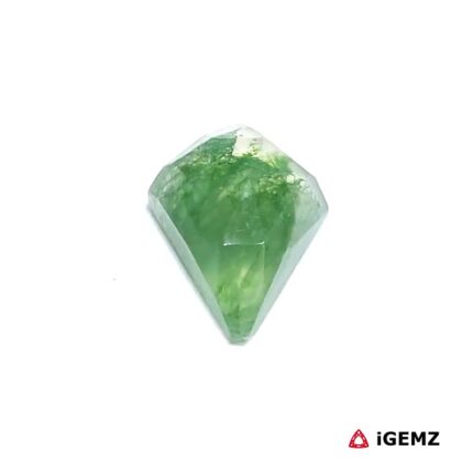 3.13 ct Green Moss Agate - iGemz24339 gemstone for sale at igemz.co.za