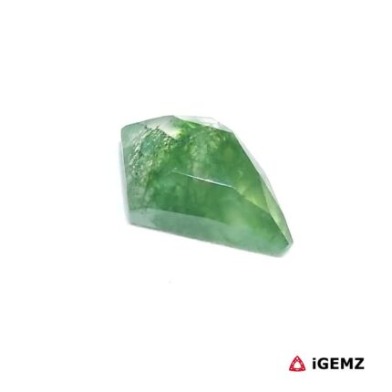 3.13 ct Green Moss Agate - iGemz24339 gemstone for sale at igemz.co.za