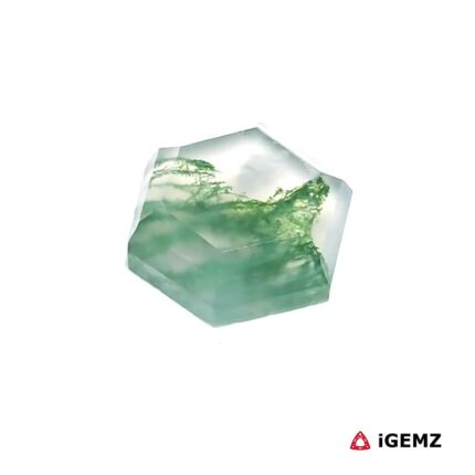 4.17 ct Green Moss Agate - iGemz24341 gemstone for sale at igemz.co.za