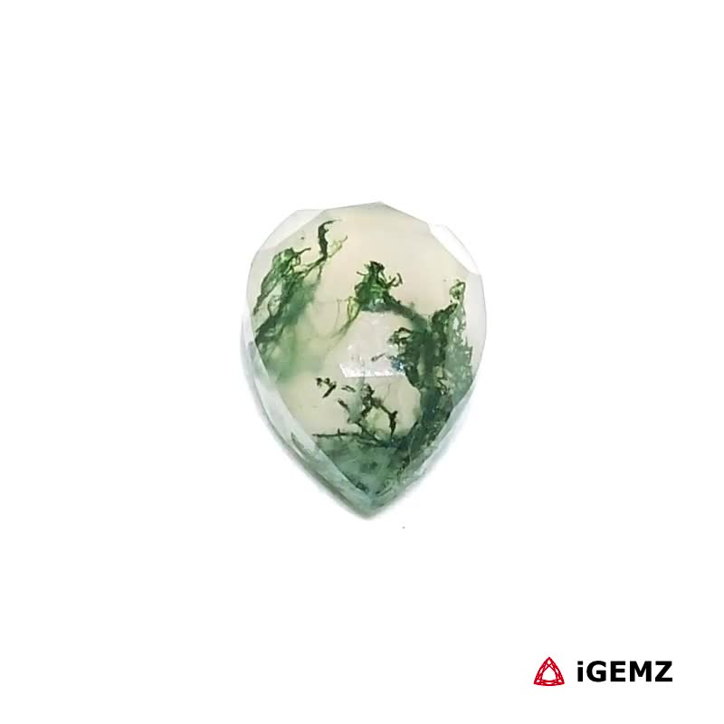 iGemz24344.1 3.36 ct Green Moss Agate - iGemz24344 gemstone for sale at igemz.co.za