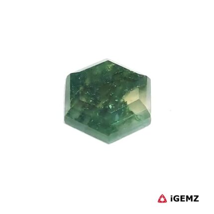 3.19 ct Green Moss Agate - iGemz24380 gemstone for sale at igemz.co.za