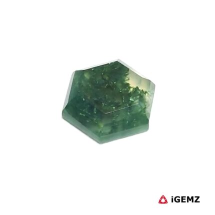 3.19 ct Green Moss Agate - iGemz24380 gemstone for sale at igemz.co.za