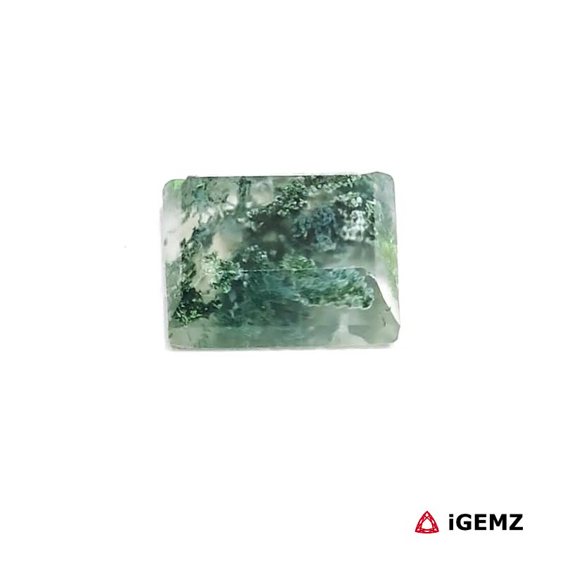 iGemz24385.1 3.1 ct Green Moss Agate - iGemz24385 gemstone for sale at igemz.co.za