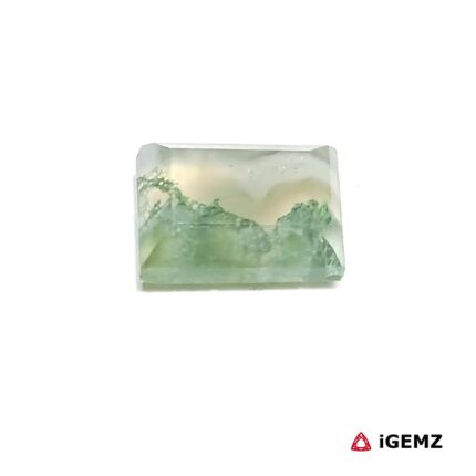 3.31 ct Green Moss Agate - iGemz24408 gemstone for sale at igemz.co.za
