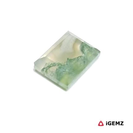 3.31 ct Green Moss Agate - iGemz24408 gemstone for sale at igemz.co.za