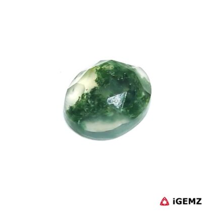 2.96 ct Green Moss Agate - iGemz24421 gemstone for sale at igemz.co.za