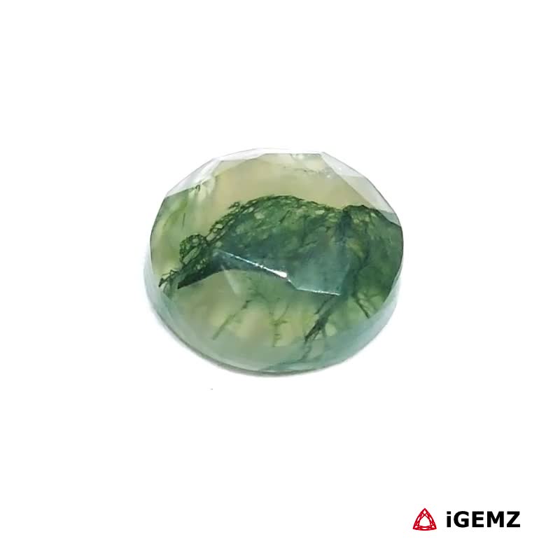 iGemz24430.1 4.4 ct Green Moss Agate - iGemz24430 gemstone for sale at igemz.co.za