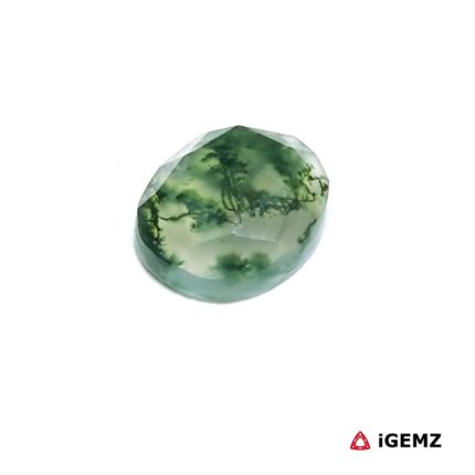 3 ct Green Moss Agate - iGemz24437 gemstone for sale at igemz.co.za
