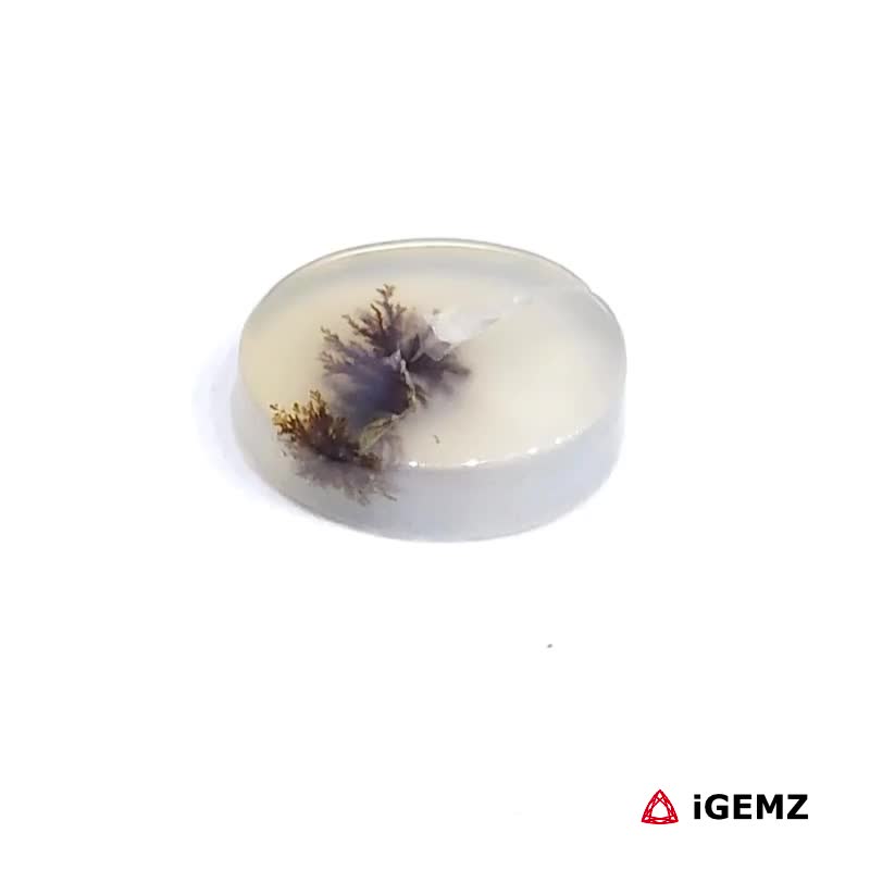 iGemz24459.1 2 ct Brown Dendritic Agate - iGemz24459 gemstone for sale at igemz.co.za