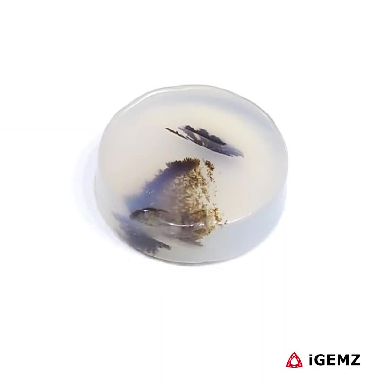 iGemz24460.1 3.36 ct Brown Dendritic Agate - iGemz24460 gemstone for sale at igemz.co.za