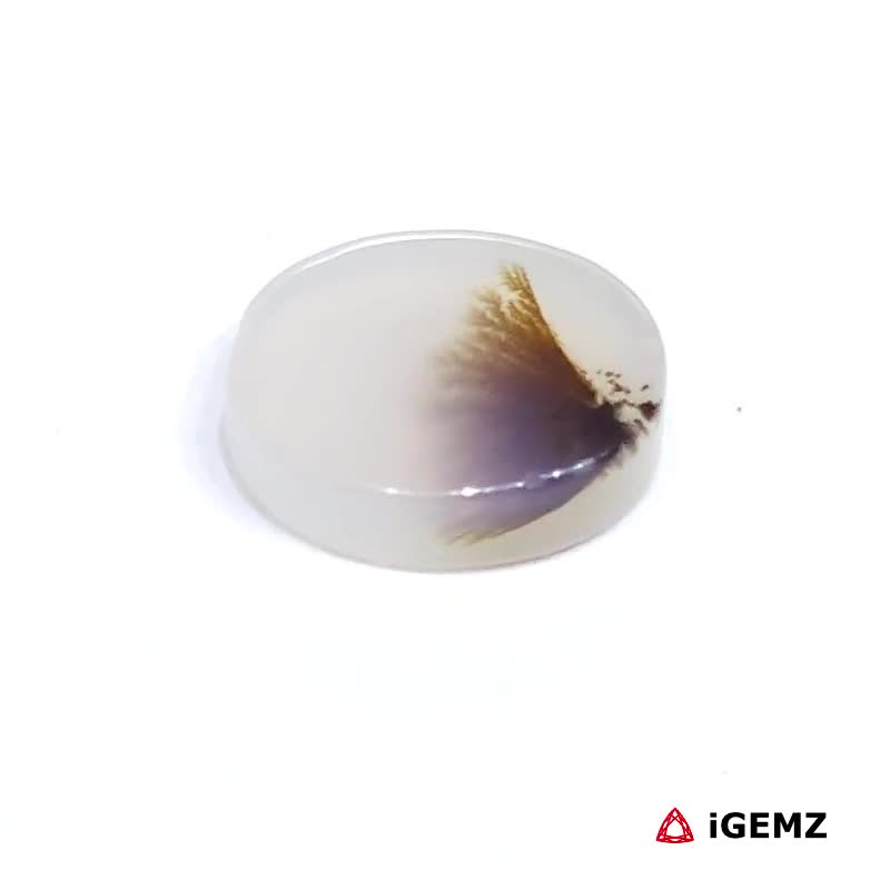 iGemz24480.1 2.48 ct Brown Dendritic Agate - iGemz24480 gemstone for sale at igemz.co.za