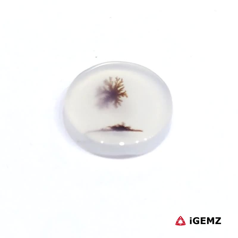 iGemz24487.1 1.92 ct Brown Dendritic Agate - iGemz24487 gemstone for sale at igemz.co.za