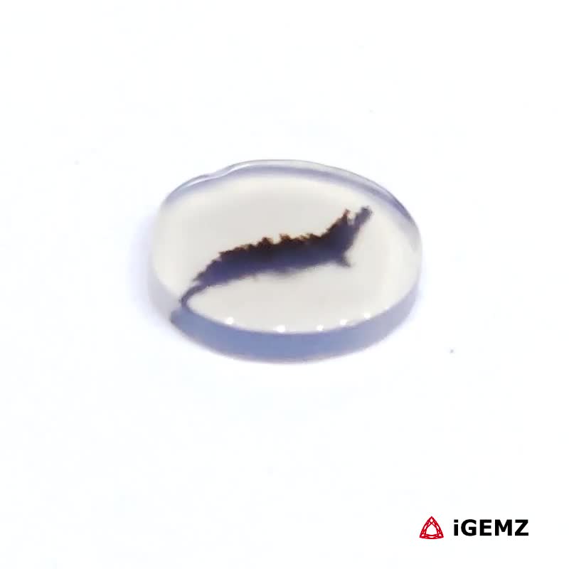 iGemz24488.1 1.63 ct Brown Dendritic Agate - iGemz24488 gemstone for sale at igemz.co.za
