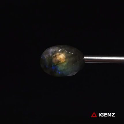 10.59 ct Blue Labradorite - iGemz27371 gemstone for sale at igemz.co.za