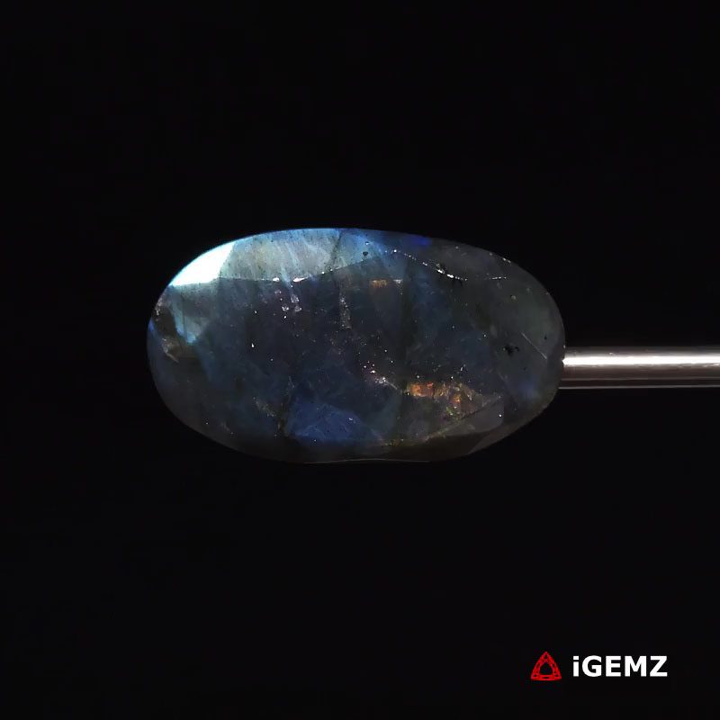 iGemz27379.1 24.84 ct Blue Labradorite - iGemz27379 gemstone for sale at igemz.co.za