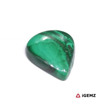 21.6 ct Green Malachite - iGemz29286 gemstone for sale at igemz.co.za