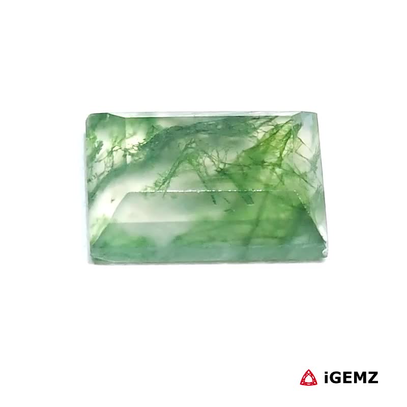 iGemz31393.1 6.25 ct Green Moss Agate - iGemz31393 gemstone for sale at igemz.co.za