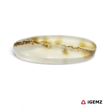17.58 ct Brown Dendritic Agate - iGemz24449 gemstone for sale at igemz.co.za