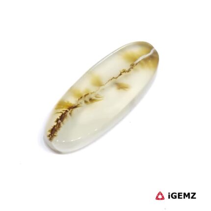 17.58 ct Brown Dendritic Agate - iGemz24449 gemstone for sale at igemz.co.za