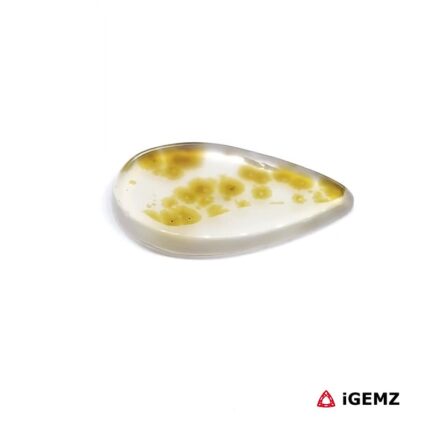 6.99 ct Brown Dendritic Agate - iGemz24450 gemstone for sale at igemz.co.za