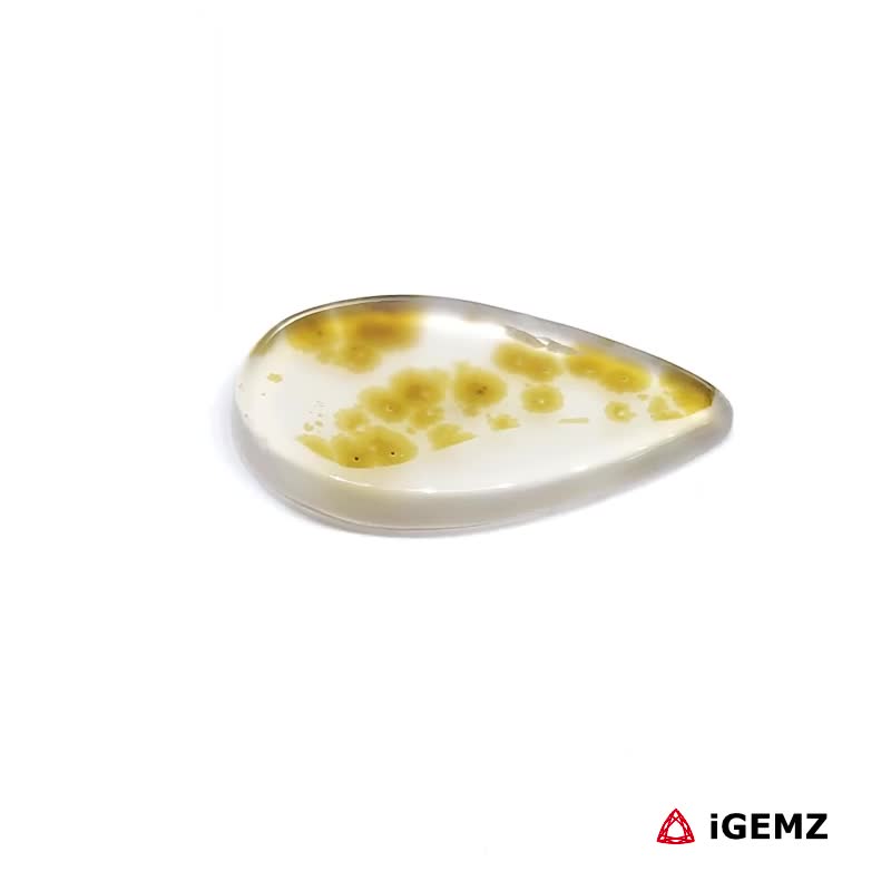 iGemz24450.1 6.99 ct Brown Dendritic Agate - iGemz24450 gemstone for sale at igemz.co.za