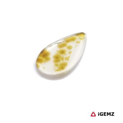 6.99 ct Brown Dendritic Agate - iGemz24450 gemstone for sale at igemz.co.za