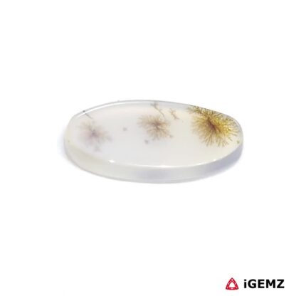 4.19 ct Brown Dendritic Agate - iGemz24451 gemstone for sale at igemz.co.za