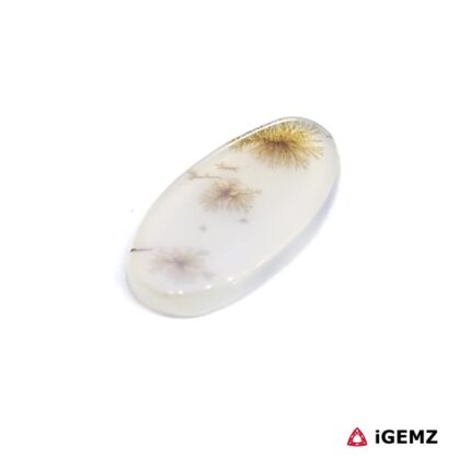 4.19 ct Brown Dendritic Agate - iGemz24451 gemstone for sale at igemz.co.za