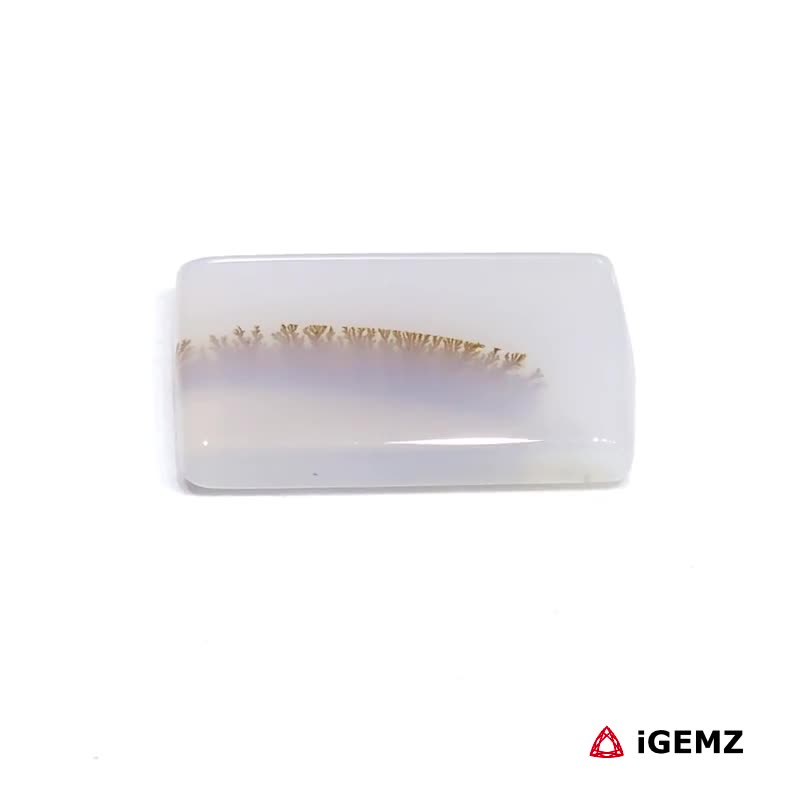 iGemz24452.1 8.31 ct Brown Dendritic Agate - iGemz24452 gemstone for sale at igemz.co.za