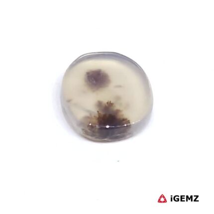 2 ct Brown Dendritic Agate - iGemz24454 gemstone for sale at igemz.co.za