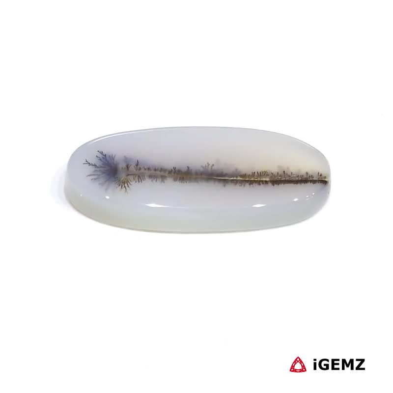 iGemz24455.1 13.32 ct Brown Dendritic Agate - iGemz24455 gemstone for sale at igemz.co.za