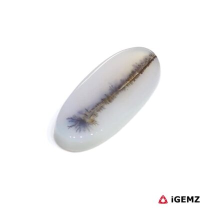 13.32 ct Brown Dendritic Agate - iGemz24455 gemstone for sale at igemz.co.za