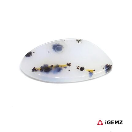11.68 ct Brown Dendritic Agate - iGemz24456 gemstone for sale at igemz.co.za