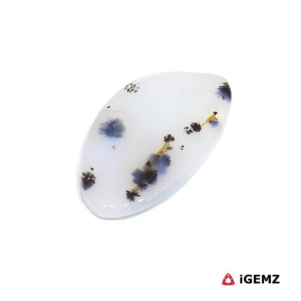 11.68 ct Brown Dendritic Agate - iGemz24456 gemstone for sale at igemz.co.za