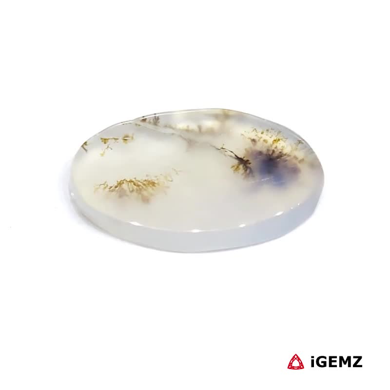 iGemz24457.1 7.26 ct Brown Dendritic Agate - iGemz24457 gemstone for sale at igemz.co.za