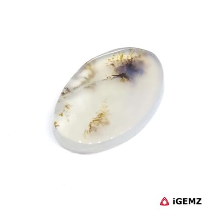 7.26 ct Brown Dendritic Agate - iGemz24457 gemstone for sale at igemz.co.za