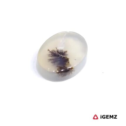 2 ct Brown Dendritic Agate - iGemz24459 gemstone for sale at igemz.co.za